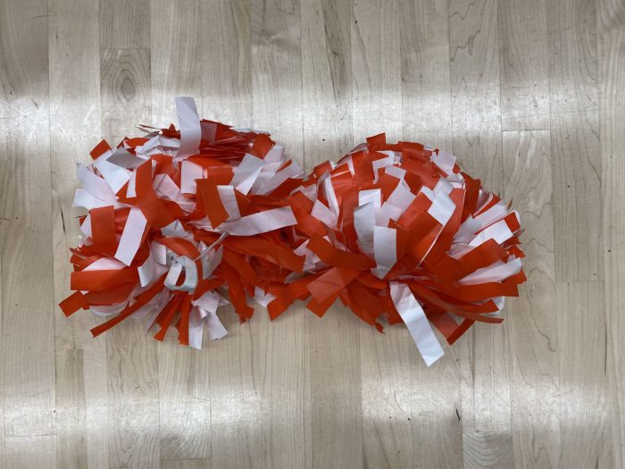 Set of Pom Poms - Image 3