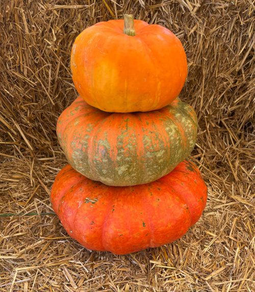 Pumpkin Stack