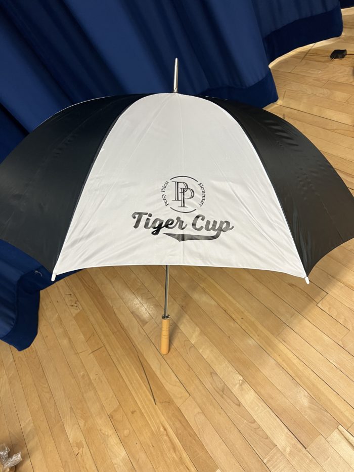Umbrella - Image 3
