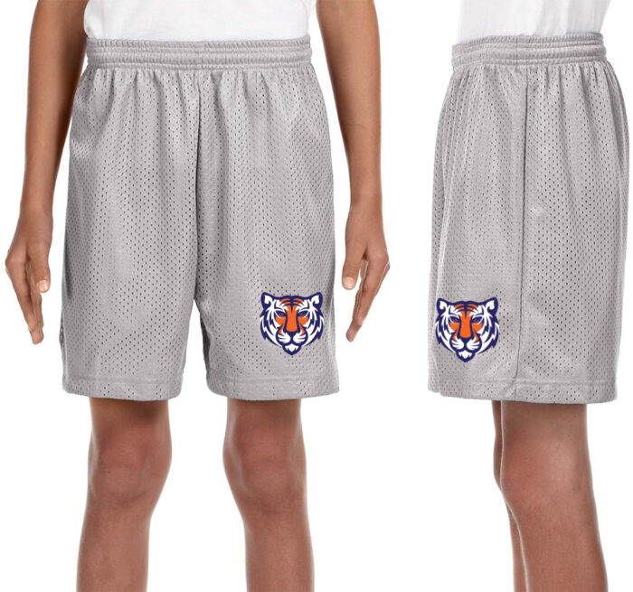 Boys Silver Grey Shorts