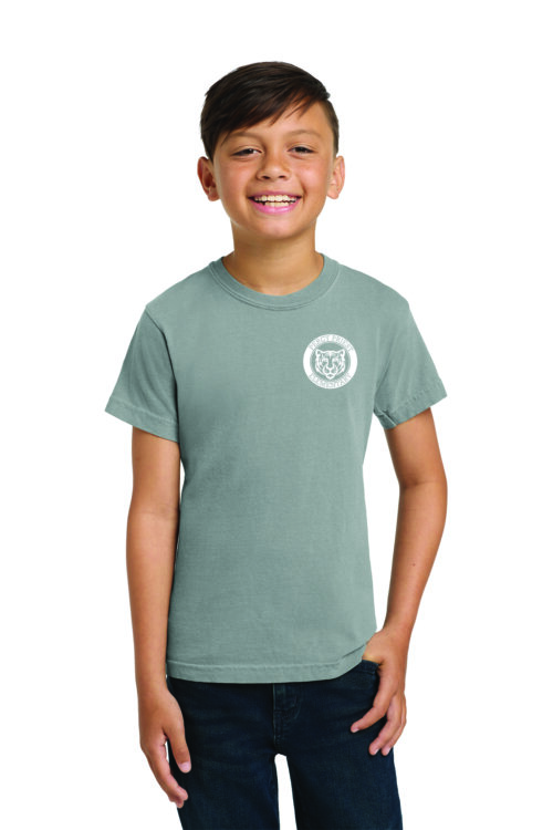 Graphite t-shirt